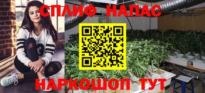 мет Балахна